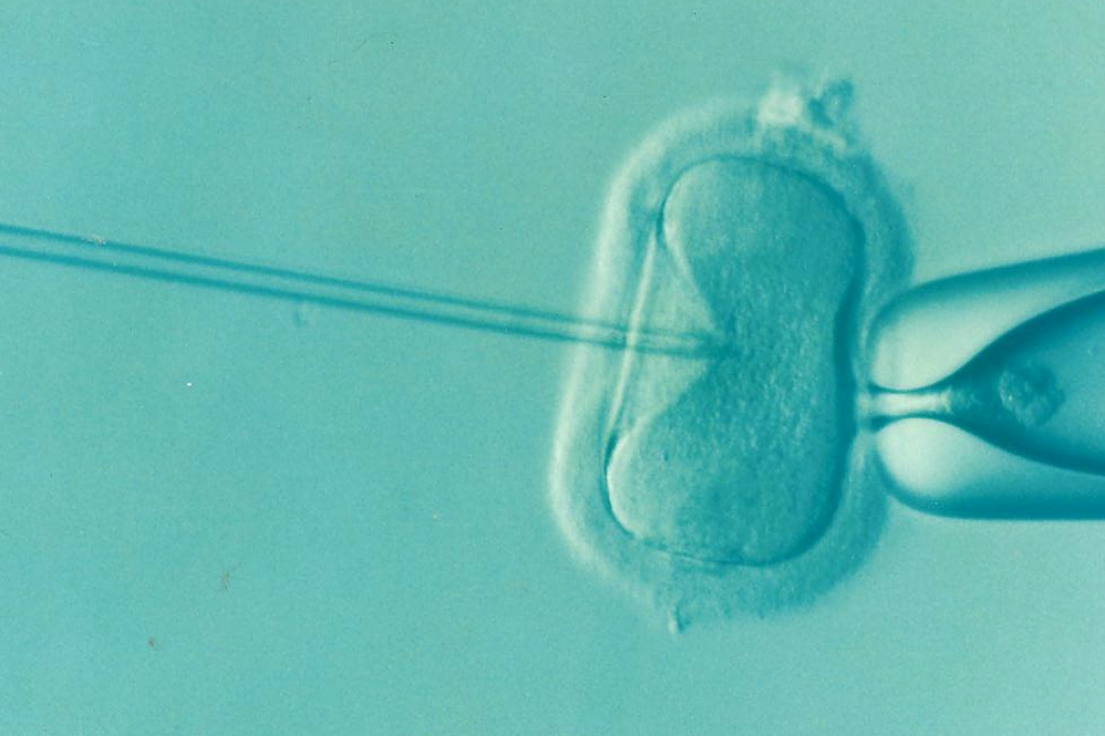 Exploring the Connection Between Male Infertility and Erectile Dysfunction
