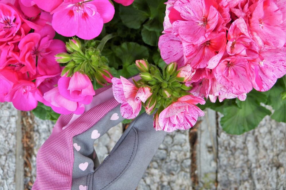 The Role of Chiropractic Care in Fertility